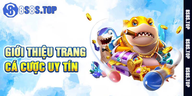 Một vài thông tin chung về trang game 8S